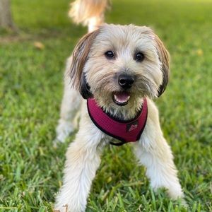 Meet your Posher, Anissa